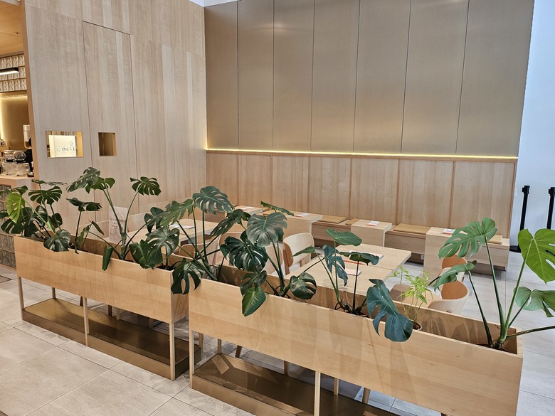 小朋友創作的園地 - 彩繪樹親子創意館美麗華店