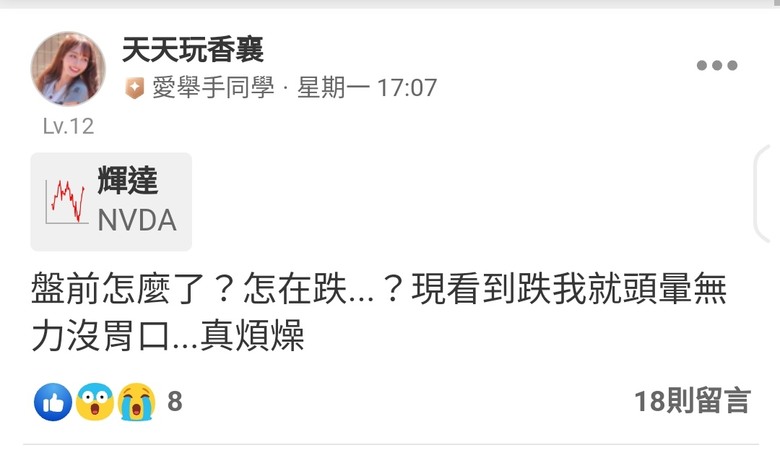 這是關於貸款200萬買輝達兩倍槓桿NVDL的故事