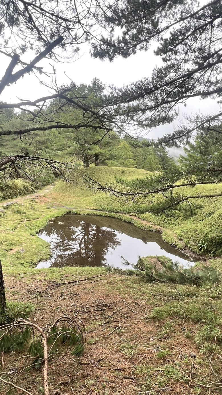塔塔加步道