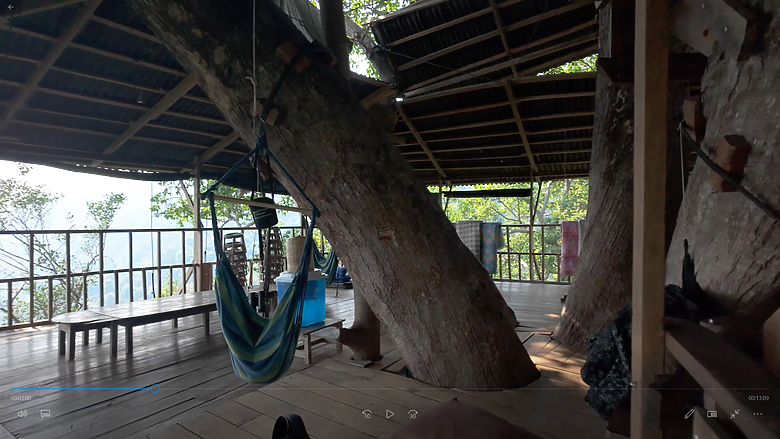 探索世界最高的樹屋：Gibbon Experience | 與長臂猿不那麼親密的接觸(?)