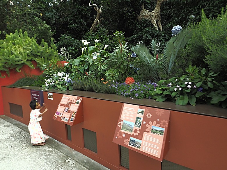 濱海灣花園 雲霧林(Cloud Forest)、花穹(Flower Dome) 及《莫內印象(Impressions of Monet)》特展、擎天樹叢(Supertree Grove)的《花園狂想曲(Garden Rhapsody)》聲光秀、遊園導覽車(Audio Tour)、Jurassic Nest FoodHall中的Hawker Chan燒肉飯,及金沙酒店《幻彩生輝(Spectra- A Light and Water)》燈光秀 — 赤道三國文化休閒行旅 之 新加坡篇 第五回 濱海灣花園