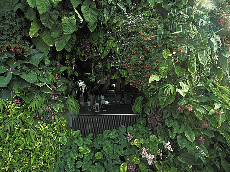 濱海灣花園 雲霧林(Cloud Forest)、花穹(Flower Dome) 及《莫內印象(Impressions of Monet)》特展、擎天樹叢(Supertree Grove)的《花園狂想曲(Garden Rhapsody)》聲光秀、遊園導覽車(Audio Tour)、Jurassic Nest FoodHall中的Hawker Chan燒肉飯,及金沙酒店《幻彩生輝(Spectra- A Light and Water)》燈光秀 — 赤道三國文化休閒行旅 之 新加坡篇 第五回 濱海灣花園