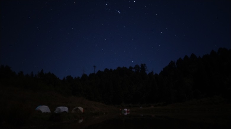 天使散落的珍珠 | 深夜比白天美 | 加羅湖2天1夜露營
