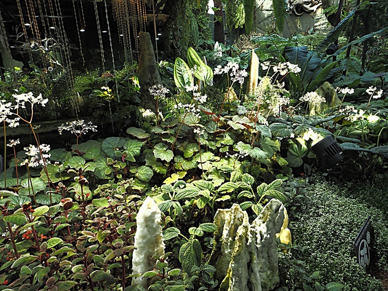 濱海灣花園 雲霧林(Cloud Forest)、花穹(Flower Dome) 及《莫內印象(Impressions of Monet)》特展、擎天樹叢(Supertree Grove)的《花園狂想曲(Garden Rhapsody)》聲光秀、遊園導覽車(Audio Tour)、Jurassic Nest FoodHall中的Hawker Chan燒肉飯,及金沙酒店《幻彩生輝(Spectra- A Light and Water)》燈光秀 — 赤道三國文化休閒行旅 之 新加坡篇 第五回 濱海灣花園