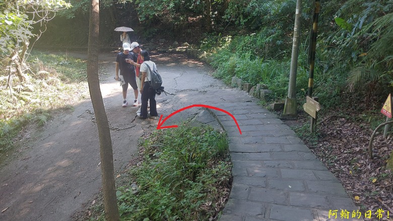 [2024 台北大縱走第四段] 風櫃口 → 大湖公園捷運站｜梅花山、圓覺瀑布、大溝溪畔