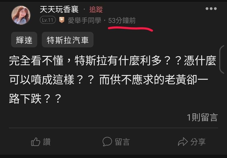 這是關於貸款200萬買輝達兩倍槓桿NVDL的故事