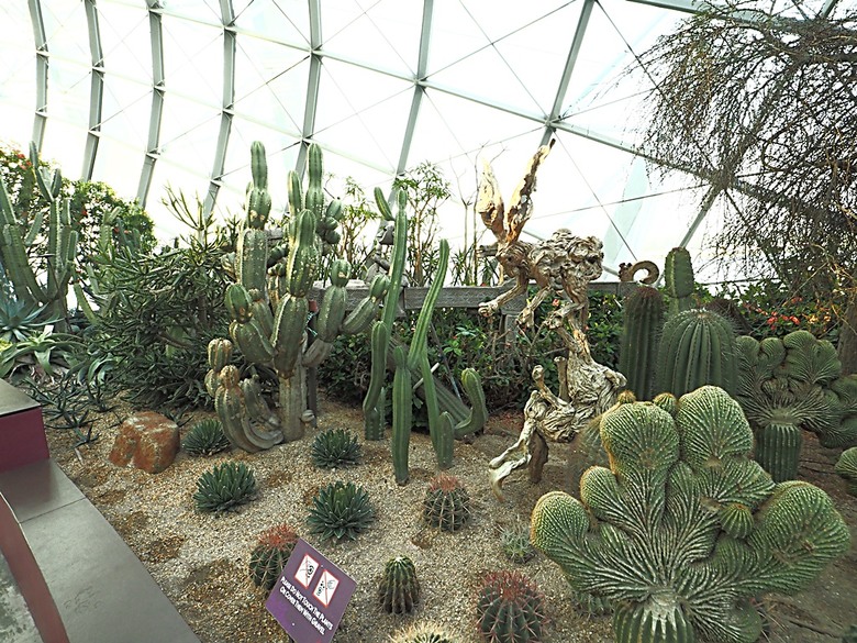 濱海灣花園 雲霧林(Cloud Forest)、花穹(Flower Dome) 及《莫內印象(Impressions of Monet)》特展、擎天樹叢(Supertree Grove)的《花園狂想曲(Garden Rhapsody)》聲光秀、遊園導覽車(Audio Tour)、Jurassic Nest FoodHall中的Hawker Chan燒肉飯,及金沙酒店《幻彩生輝(Spectra- A Light and Water)》燈光秀 — 赤道三國文化休閒行旅 之 新加坡篇 第五回 濱海灣花園