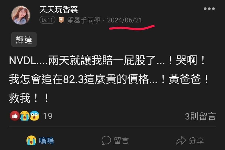 這是關於貸款200萬買輝達兩倍槓桿NVDL的故事