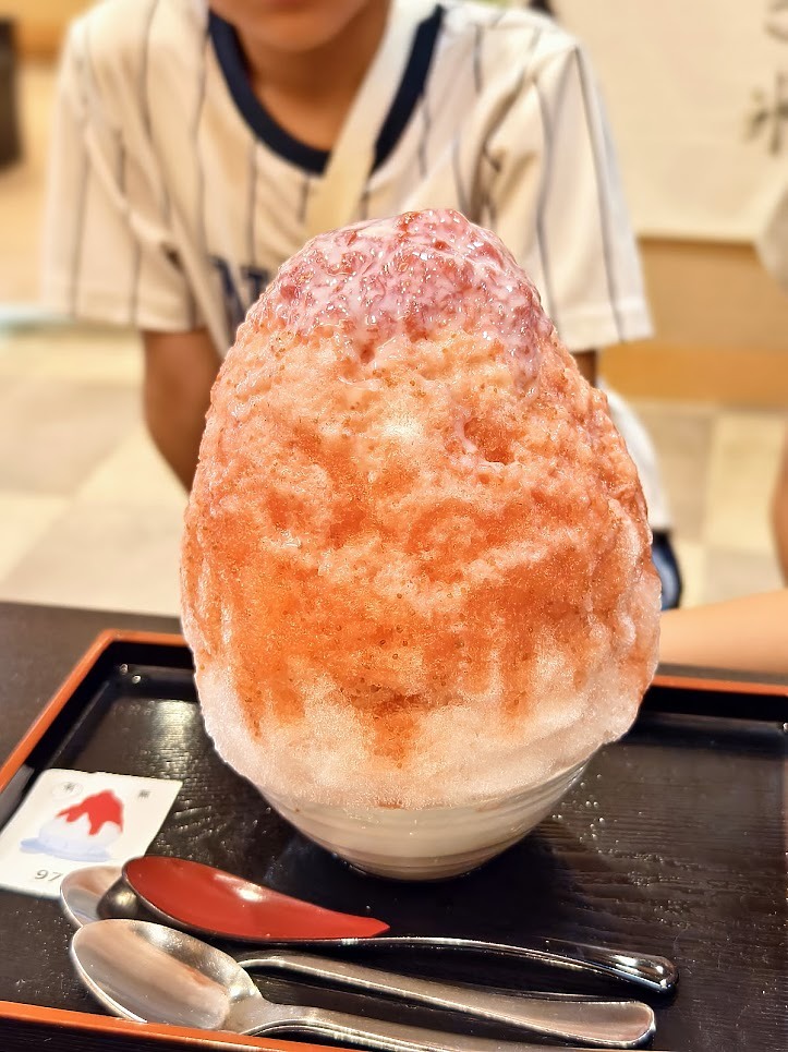 【京都武士與忍者博物館】+ 【黑樓燒肉】+【觀光特急「AONIYOSHI」列車】