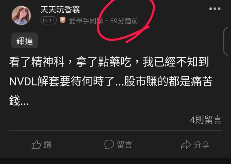 這是關於貸款200萬買輝達兩倍槓桿NVDL的故事