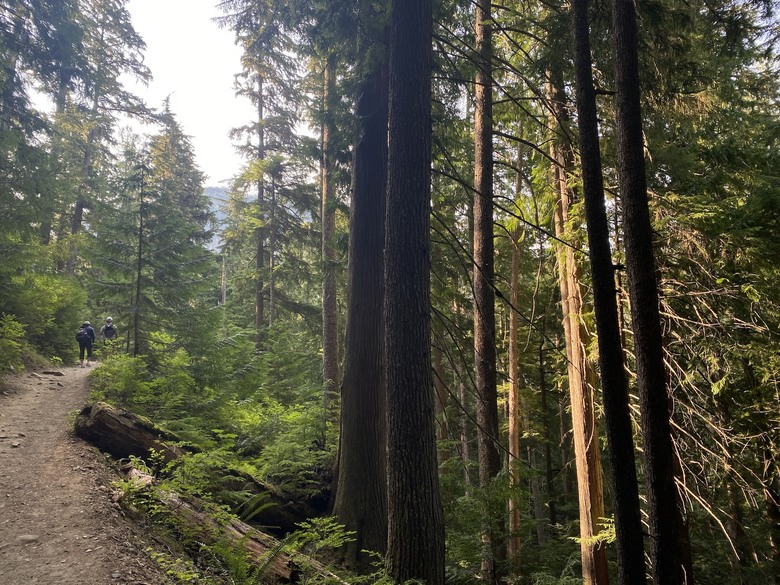 「瑜伽越野跑」加拿大🇨🇦 溫哥華 Vancouver, BC 北邊的兩條路線：Sea to Summit 及 Garibaldi Lake trail