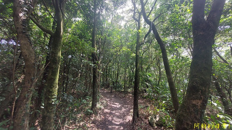 [2024 台北大縱走第四段] 風櫃口 → 大湖公園捷運站｜梅花山、圓覺瀑布、大溝溪畔
