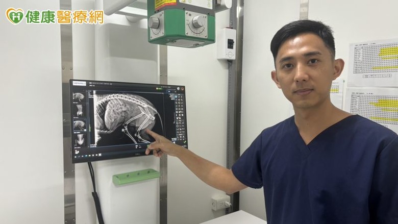 家中毛小孩腸胃道常出問題？獸醫師曝「這些」好菌有助改善！