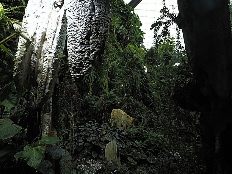 濱海灣花園 雲霧林(Cloud Forest)、花穹(Flower Dome) 及《莫內印象(Impressions of Monet)》特展、擎天樹叢(Supertree Grove)的《花園狂想曲(Garden Rhapsody)》聲光秀、遊園導覽車(Audio Tour)、Jurassic Nest FoodHall中的Hawker Chan燒肉飯,及金沙酒店《幻彩生輝(Spectra- A Light and Water)》燈光秀 — 赤道三國文化休閒行旅 之 新加坡篇 第五回 濱海灣花園