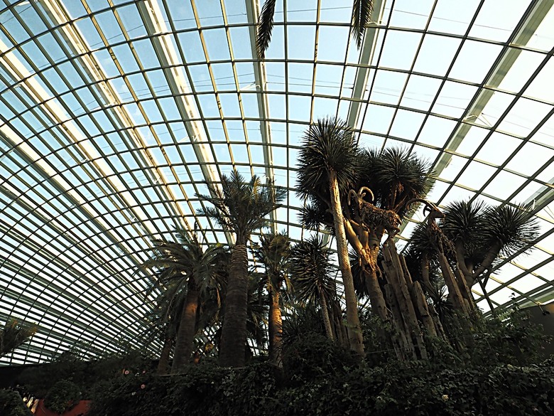 濱海灣花園 雲霧林(Cloud Forest)、花穹(Flower Dome) 及《莫內印象(Impressions of Monet)》特展、擎天樹叢(Supertree Grove)的《花園狂想曲(Garden Rhapsody)》聲光秀、遊園導覽車(Audio Tour)、Jurassic Nest FoodHall中的Hawker Chan燒肉飯,及金沙酒店《幻彩生輝(Spectra- A Light and Water)》燈光秀 — 赤道三國文化休閒行旅 之 新加坡篇 第五回 濱海灣花園