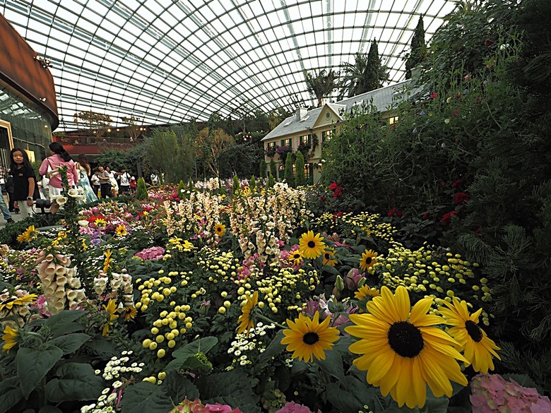 濱海灣花園 雲霧林(Cloud Forest)、花穹(Flower Dome) 及《莫內印象(Impressions of Monet)》特展、擎天樹叢(Supertree Grove)的《花園狂想曲(Garden Rhapsody)》聲光秀、遊園導覽車(Audio Tour)、Jurassic Nest FoodHall中的Hawker Chan燒肉飯,及金沙酒店《幻彩生輝(Spectra- A Light and Water)》燈光秀 — 赤道三國文化休閒行旅 之 新加坡篇 第五回 濱海灣花園