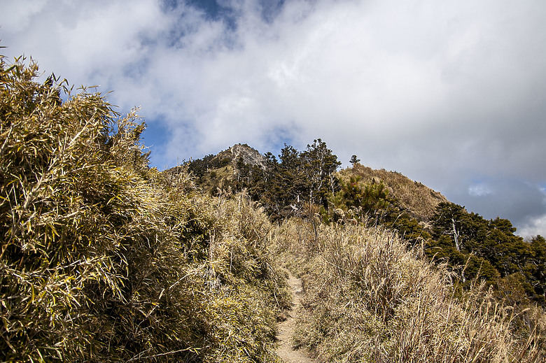 回憶關山嶺山 和現在很不一樣的關山嶺山