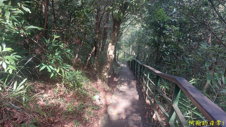[2024 台北大縱走第四段] 風櫃口 → 大湖公園捷運站｜梅花山、圓覺瀑布、大溝溪畔