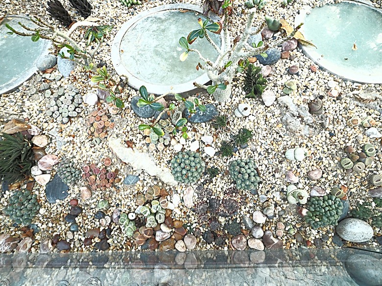 濱海灣花園 雲霧林(Cloud Forest)、花穹(Flower Dome) 及《莫內印象(Impressions of Monet)》特展、擎天樹叢(Supertree Grove)的《花園狂想曲(Garden Rhapsody)》聲光秀、遊園導覽車(Audio Tour)、Jurassic Nest FoodHall中的Hawker Chan燒肉飯,及金沙酒店《幻彩生輝(Spectra- A Light and Water)》燈光秀 — 赤道三國文化休閒行旅 之 新加坡篇 第五回 濱海灣花園