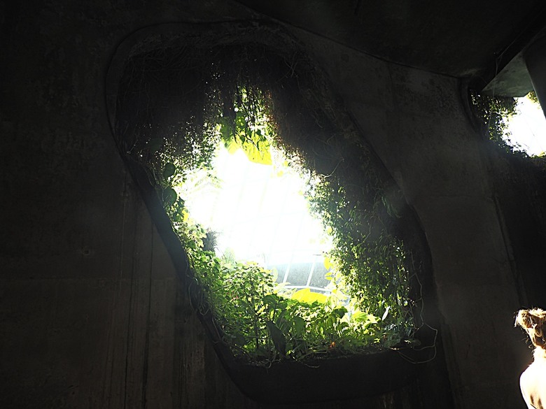 濱海灣花園 雲霧林(Cloud Forest)、花穹(Flower Dome) 及《莫內印象(Impressions of Monet)》特展、擎天樹叢(Supertree Grove)的《花園狂想曲(Garden Rhapsody)》聲光秀、遊園導覽車(Audio Tour)、Jurassic Nest FoodHall中的Hawker Chan燒肉飯,及金沙酒店《幻彩生輝(Spectra- A Light and Water)》燈光秀 — 赤道三國文化休閒行旅 之 新加坡篇 第五回 濱海灣花園