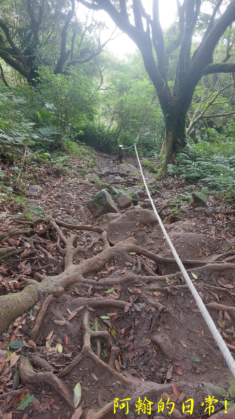[2024 台北大縱走第二段] 小油坑 → 二子坪(逆走) ｜竹仔湖、二子坪 風景秀麗，無緣大屯山連峰風景