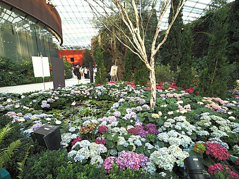 濱海灣花園 雲霧林(Cloud Forest)、花穹(Flower Dome) 及《莫內印象(Impressions of Monet)》特展、擎天樹叢(Supertree Grove)的《花園狂想曲(Garden Rhapsody)》聲光秀、遊園導覽車(Audio Tour)、Jurassic Nest FoodHall中的Hawker Chan燒肉飯,及金沙酒店《幻彩生輝(Spectra- A Light and Water)》燈光秀 — 赤道三國文化休閒行旅 之 新加坡篇 第五回 濱海灣花園