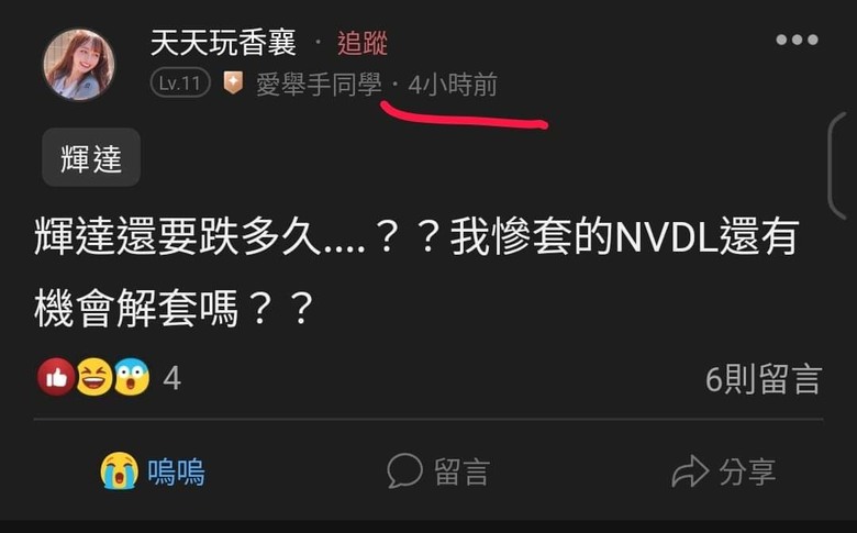 這是關於貸款200萬買輝達兩倍槓桿NVDL的故事