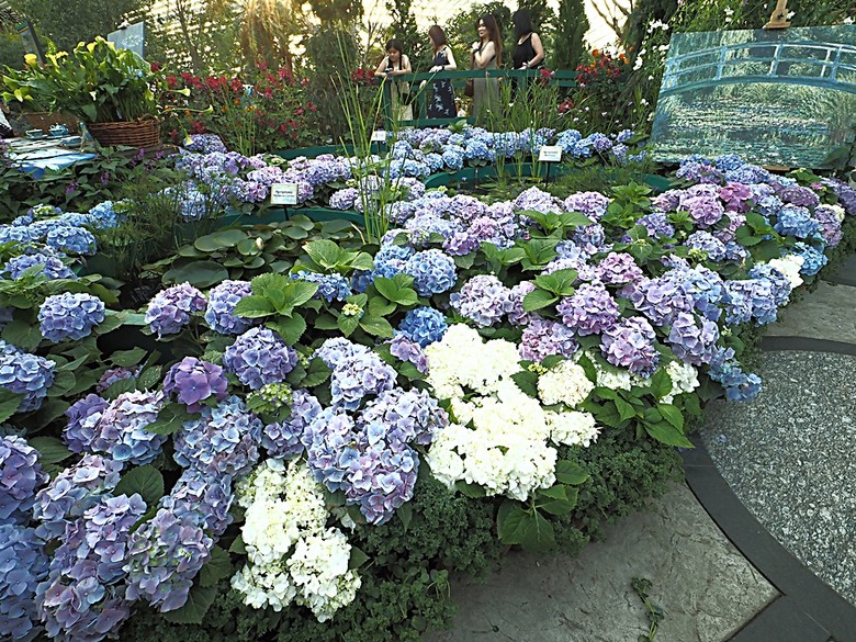 濱海灣花園 雲霧林(Cloud Forest)、花穹(Flower Dome) 及《莫內印象(Impressions of Monet)》特展、擎天樹叢(Supertree Grove)的《花園狂想曲(Garden Rhapsody)》聲光秀、遊園導覽車(Audio Tour)、Jurassic Nest FoodHall中的Hawker Chan燒肉飯,及金沙酒店《幻彩生輝(Spectra- A Light and Water)》燈光秀 — 赤道三國文化休閒行旅 之 新加坡篇 第五回 濱海灣花園
