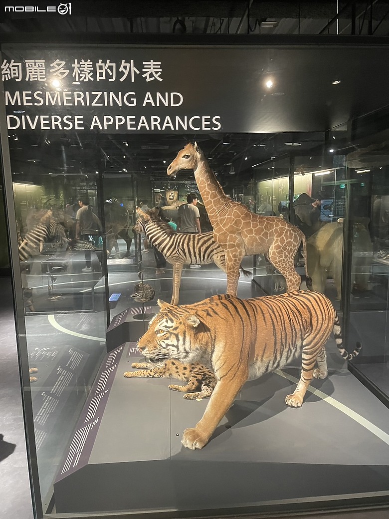 科教館之旅：探索、學習與心靈的觸動