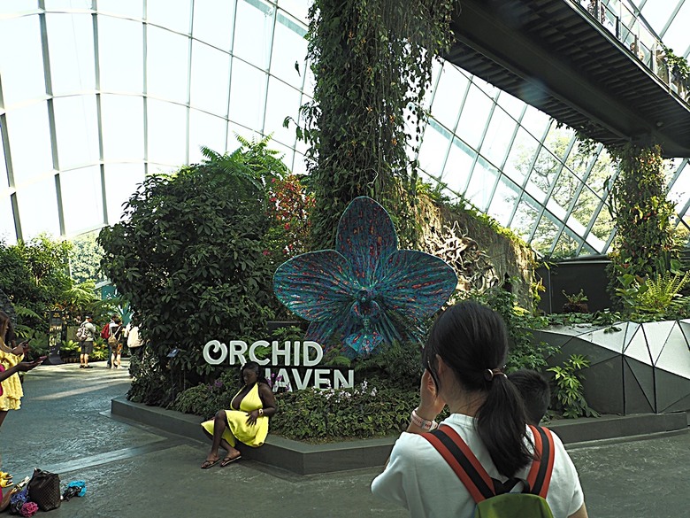 濱海灣花園 雲霧林(Cloud Forest)、花穹(Flower Dome) 及《莫內印象(Impressions of Monet)》特展、擎天樹叢(Supertree Grove)的《花園狂想曲(Garden Rhapsody)》聲光秀、遊園導覽車(Audio Tour)、Jurassic Nest FoodHall中的Hawker Chan燒肉飯,及金沙酒店《幻彩生輝(Spectra- A Light and Water)》燈光秀 — 赤道三國文化休閒行旅 之 新加坡篇 第五回 濱海灣花園