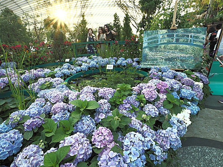 濱海灣花園 雲霧林(Cloud Forest)、花穹(Flower Dome) 及《莫內印象(Impressions of Monet)》特展、擎天樹叢(Supertree Grove)的《花園狂想曲(Garden Rhapsody)》聲光秀、遊園導覽車(Audio Tour)、Jurassic Nest FoodHall中的Hawker Chan燒肉飯,及金沙酒店《幻彩生輝(Spectra- A Light and Water)》燈光秀 — 赤道三國文化休閒行旅 之 新加坡篇 第五回 濱海灣花園