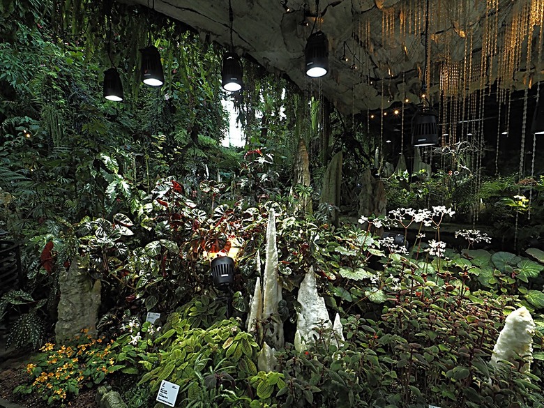濱海灣花園 雲霧林(Cloud Forest)、花穹(Flower Dome) 及《莫內印象(Impressions of Monet)》特展、擎天樹叢(Supertree Grove)的《花園狂想曲(Garden Rhapsody)》聲光秀、遊園導覽車(Audio Tour)、Jurassic Nest FoodHall中的Hawker Chan燒肉飯,及金沙酒店《幻彩生輝(Spectra- A Light and Water)》燈光秀 — 赤道三國文化休閒行旅 之 新加坡篇 第五回 濱海灣花園