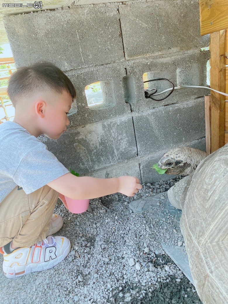宜蘭在地動物友善親子樂園-星夢森林劇場