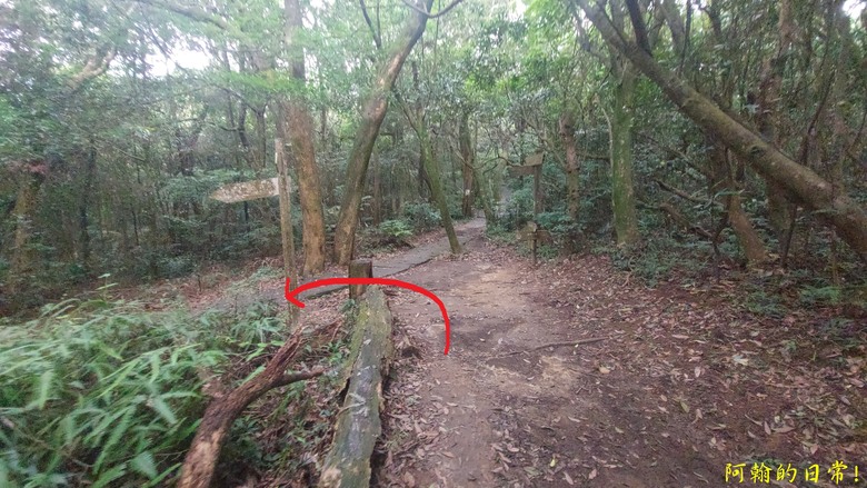 [2024 台北大縱走第四段] 風櫃口 → 大湖公園捷運站｜梅花山、圓覺瀑布、大溝溪畔