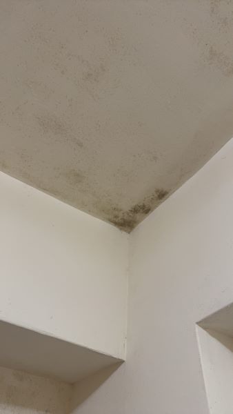 牆面裂縫以及發霉問題