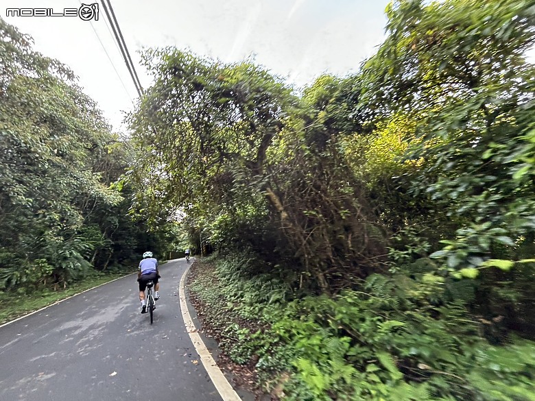 台北意外驚喜都市秘境 I 文化探索之旅與E-bike體驗
