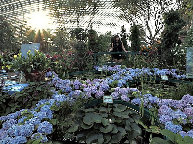 濱海灣花園 雲霧林(Cloud Forest)、花穹(Flower Dome) 及《莫內印象(Impressions of Monet)》特展、擎天樹叢(Supertree Grove)的《花園狂想曲(Garden Rhapsody)》聲光秀、遊園導覽車(Audio Tour)、Jurassic Nest FoodHall中的Hawker Chan燒肉飯,及金沙酒店《幻彩生輝(Spectra- A Light and Water)》燈光秀 — 赤道三國文化休閒行旅 之 新加坡篇 第五回 濱海灣花園