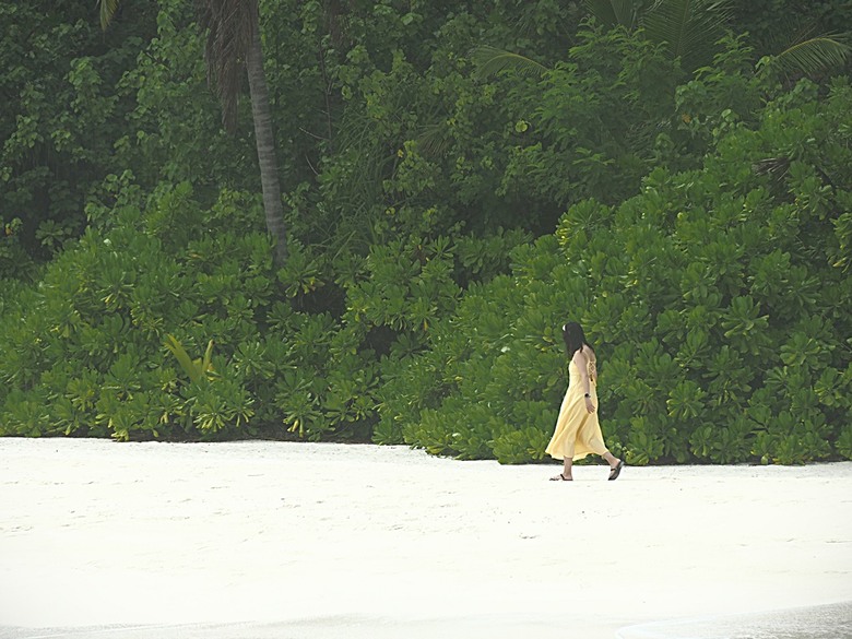 入住The Standard Maldives、碼頭邊珊瑚礁浮潛、出海賞海豚、環礁潟湖體驗 — 赤道三國文化休閒行旅 之 馬爾地夫篇 第一回 潟湖泳池水上屋(Lagoon Overwater Pool Villa)