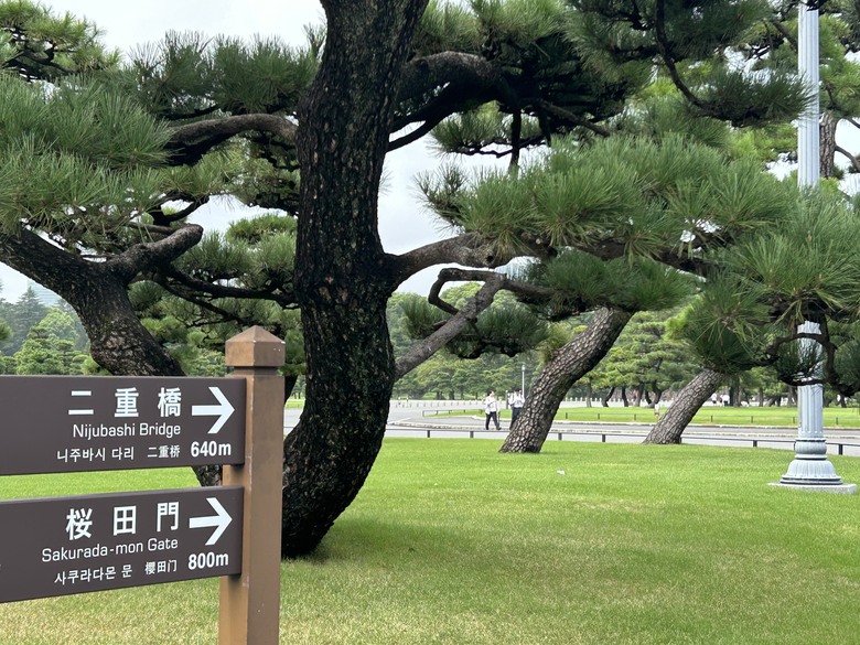 騎 單 車 遊 東 京 ( 上 )