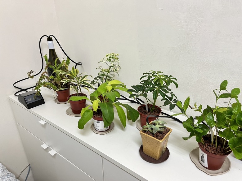 有懂虹吸原理或安裝自動澆灌設備的達人可以提供建議嗎?