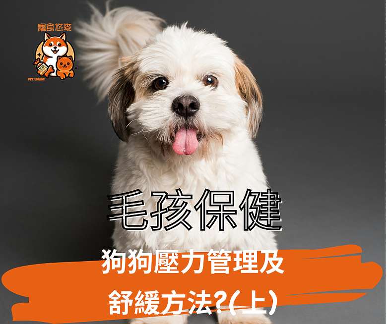 點我看大圖 毛孩保健 毛小孩狗狗壓力管理及舒緩方法?