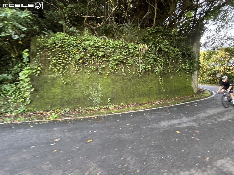 台北意外驚喜都市秘境 I 文化探索之旅與E-bike體驗