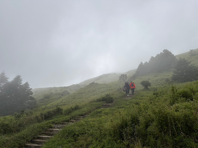 親子健行步道推薦【合歡東峰】|帶孩子拿下第一個百岳