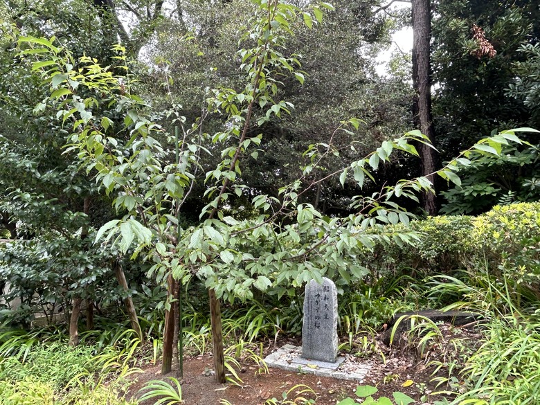 騎 單 車 遊 東 京 ( 下 )