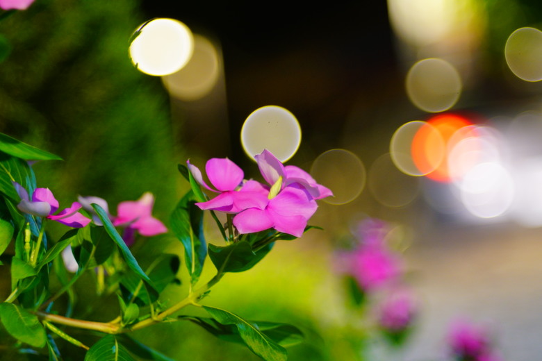 銘匠 100mm f2.8 肥皂泡泡鏡