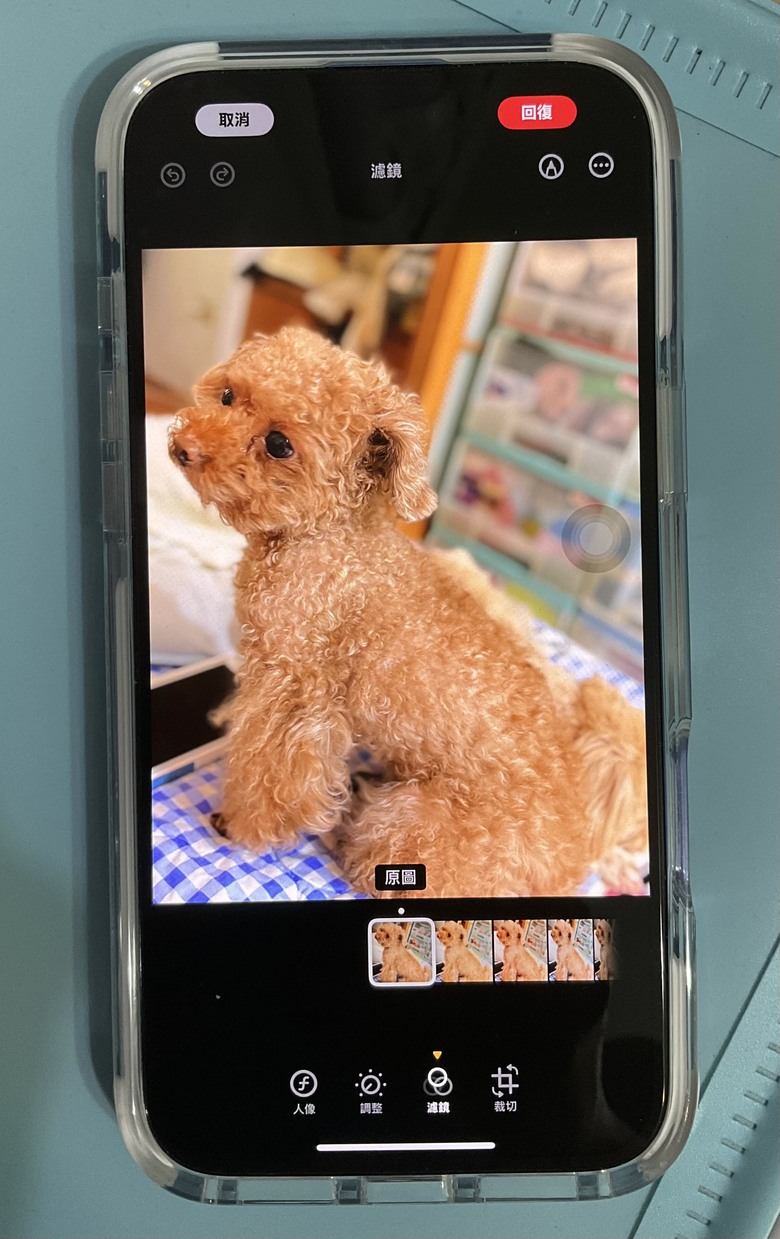 Iphone16 plus相簿編輯裡沒有風格選項