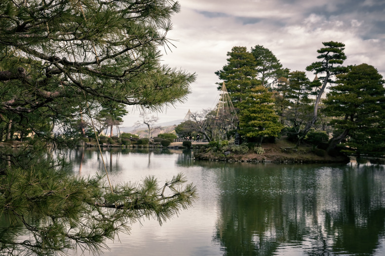 我與 Z8 & 24-120mm f/4 S kit 的第一次接觸