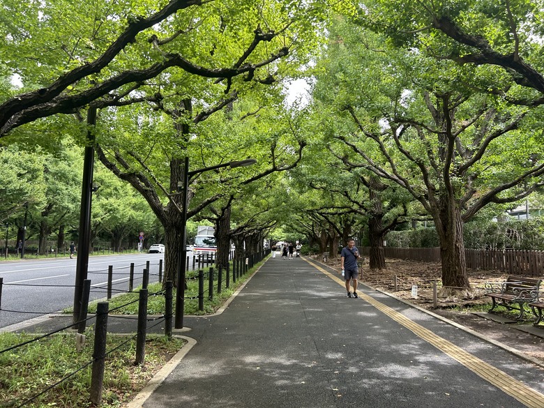 騎 單 車 遊 東 京 ( 下 )