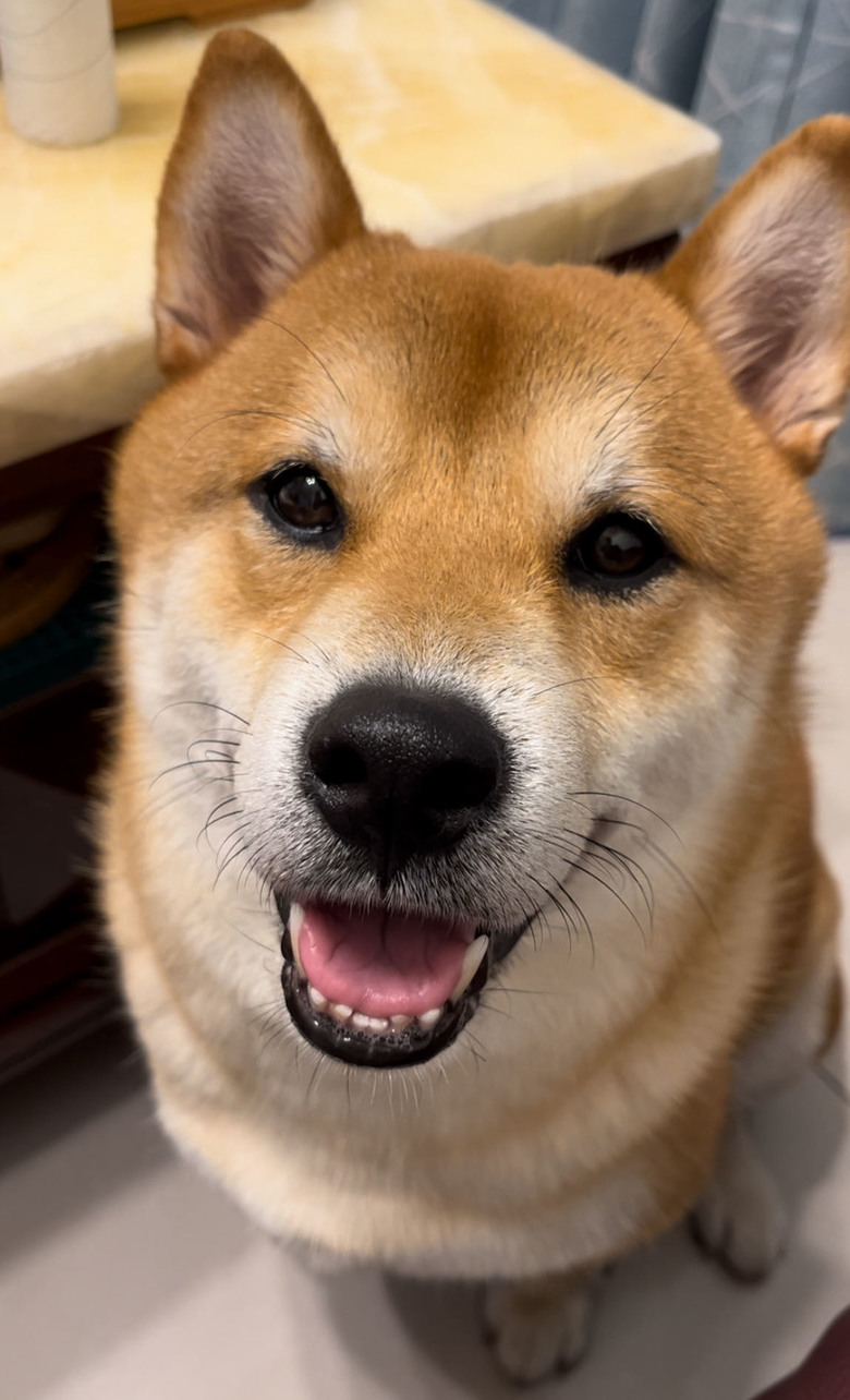 太郎君的日常生活