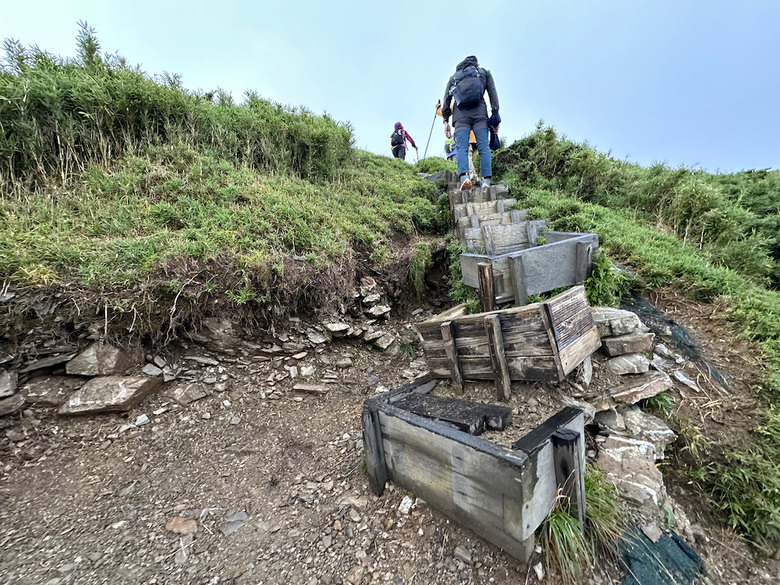 親子健行步道推薦【合歡東峰】|帶孩子拿下第一個百岳